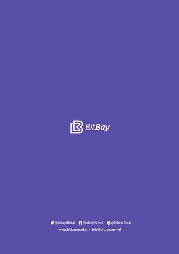 bitbay-dynamic-peg-intro-page-008